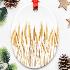 Wheat Plants Oval Ornament (two Sides) by Mariart