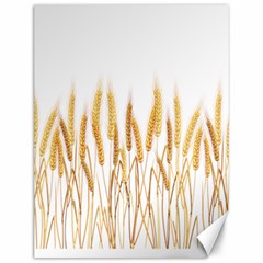 Wheat Plants Canvas 12  X 16   by Mariart