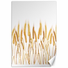 Wheat Plants Canvas 12  X 18  