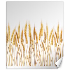 Wheat Plants Canvas 20  X 24  