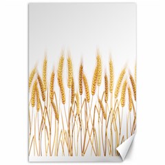 Wheat Plants Canvas 20  X 30  