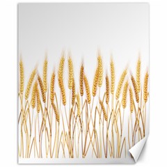 Wheat Plants Canvas 11  X 14   by Mariart