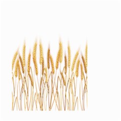 Wheat Plants Small Garden Flag (two Sides) by Mariart