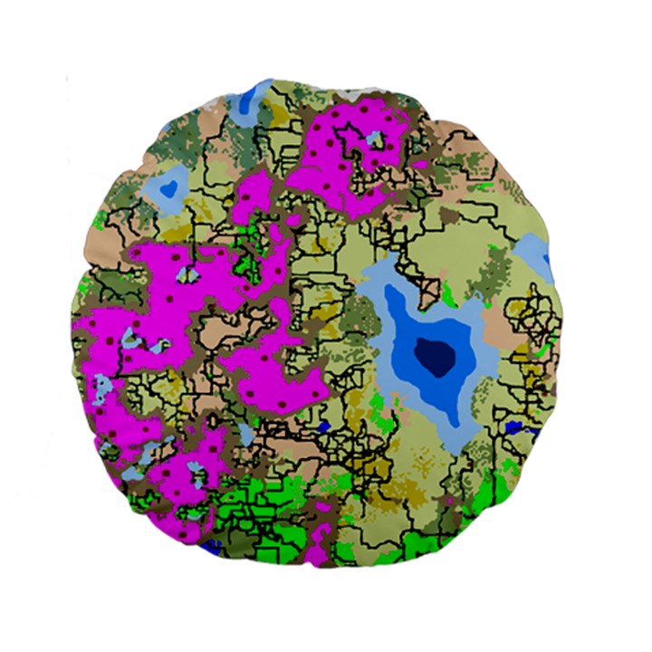 Painting Map Pink Green Blue Street Standard 15  Premium Round Cushions