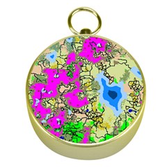 Painting Map Pink Green Blue Street Gold Compasses