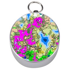 Painting Map Pink Green Blue Street Silver Compasses