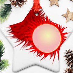 Rambutan Fruit Red Sweet Ornament (star) by Mariart