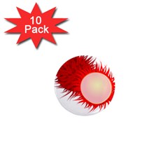 Rambutan Fruit Red Sweet 1  Mini Magnet (10 Pack) 