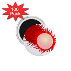 Rambutan Fruit Red Sweet 1 75  Magnets (100 Pack)  by Mariart