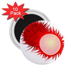 Rambutan Fruit Red Sweet 2 25  Magnets (10 Pack) 