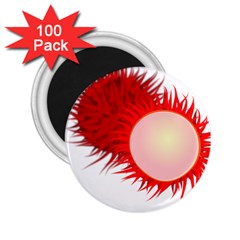 Rambutan Fruit Red Sweet 2 25  Magnets (100 Pack) 