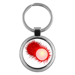 Rambutan Fruit Red Sweet Key Chains (round)  by Mariart