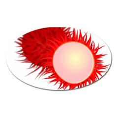 Rambutan Fruit Red Sweet Oval Magnet by Mariart