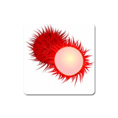 Rambutan Fruit Red Sweet Square Magnet by Mariart