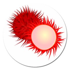 Rambutan Fruit Red Sweet Magnet 5  (round)