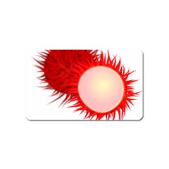 Rambutan Fruit Red Sweet Magnet (name Card)