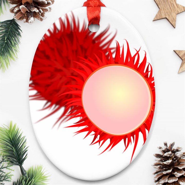 Rambutan Fruit Red Sweet Oval Ornament (Two Sides)