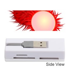 Rambutan Fruit Red Sweet Memory Card Reader (stick) 