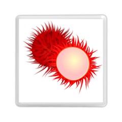 Rambutan Fruit Red Sweet Memory Card Reader (square) 