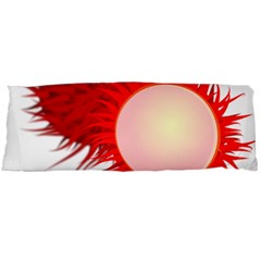 Rambutan Fruit Red Sweet Body Pillow Case (dakimakura) by Mariart