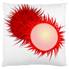 Rambutan Fruit Red Sweet Large Cushion Case (two Sides)