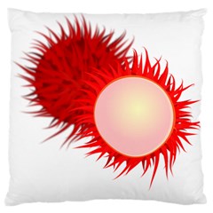 Rambutan Fruit Red Sweet Large Flano Cushion Case (two Sides)