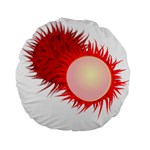 Rambutan Fruit Red Sweet Standard 15  Premium Flano Round Cushions Front