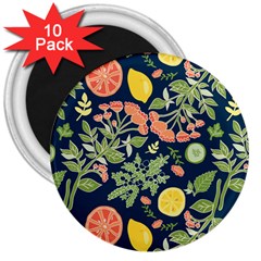 Summer Fruite Orange Lemmon Tomato 3  Magnets (10 Pack)  by Mariart