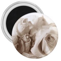 Vintage Rose Shabby Chic Background 3  Magnets by Celenk