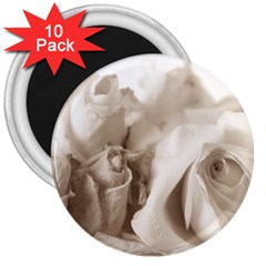 Vintage Rose Shabby Chic Background 3  Magnets (10 Pack) 