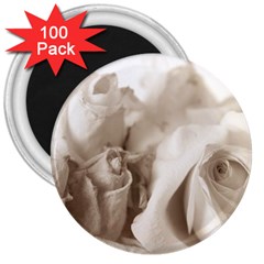 Vintage Rose Shabby Chic Background 3  Magnets (100 Pack)