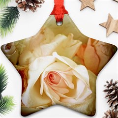 Roses Vintage Playful Romantic Star Ornament (two Sides) by Celenk