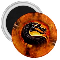 Dragon And Fire 3  Magnets