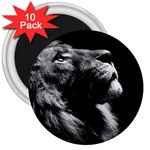 Male Lion Face 3  Magnets (10 pack)  Front