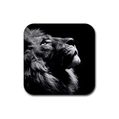 Male Lion Face Rubber Coaster (square)  by Celenk