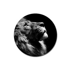 Male Lion Face Magnet 3  (round) by Celenk