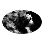 Male Lion Face Oval Magnet Front