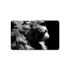 Male Lion Face Magnet (name Card) by Celenk