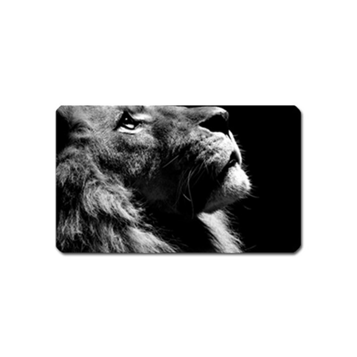 Male Lion Face Magnet (Name Card)