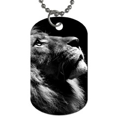 Male Lion Face Dog Tag (two Sides) by Celenk