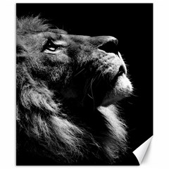 Male Lion Face Canvas 8  X 10  by Celenk