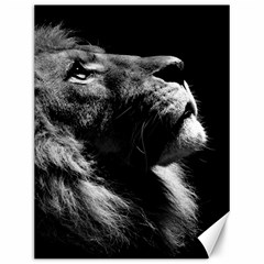 Male Lion Face Canvas 12  X 16   by Celenk