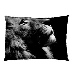 Male Lion Face Pillow Case by Celenk