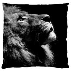 Male Lion Face Large Cushion Case (two Sides) by Celenk