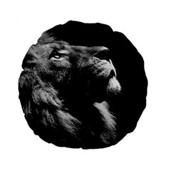 Male Lion Face Standard 15  Premium Flano Round Cushions by Celenk