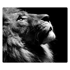 Male Lion Face Double Sided Flano Blanket (small)  by Celenk