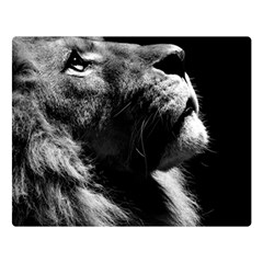 Male Lion Face Double Sided Flano Blanket (large)  by Celenk