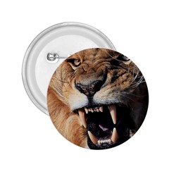 Male Lion Angry 2 25  Buttons by Celenk