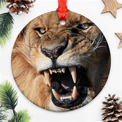 Male Lion Angry Ornament (round) by Celenk