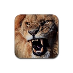 Male Lion Angry Rubber Coaster (square)  by Celenk